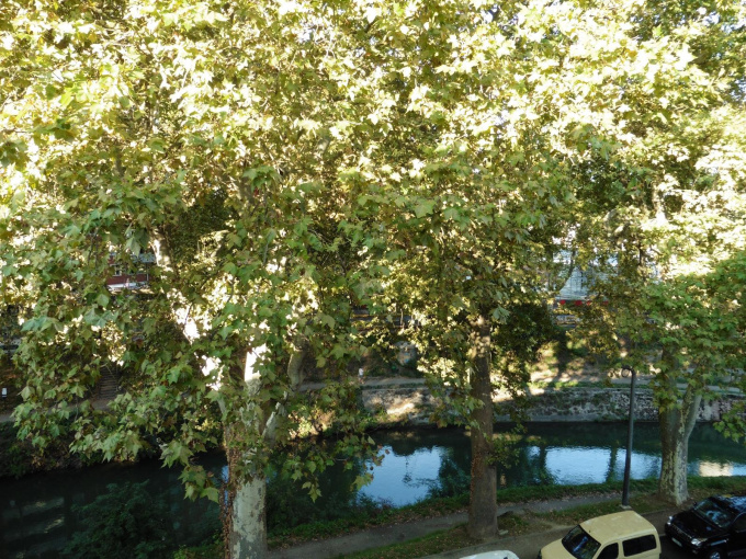 Offres de location Appartement Toulouse (31000)
